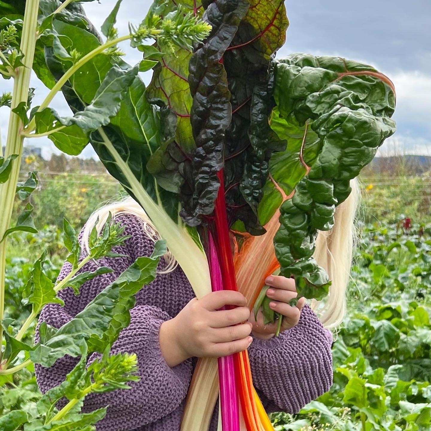 4645F6A8-EB33-40F7-ABE1-DEA96A94BC14