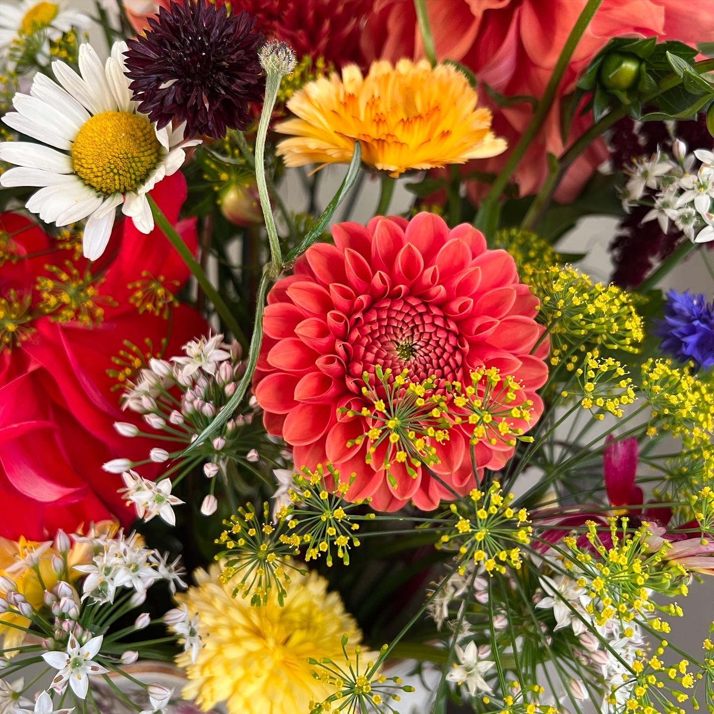 449FE114-85D8-4406-AB97-C605FD8501C6