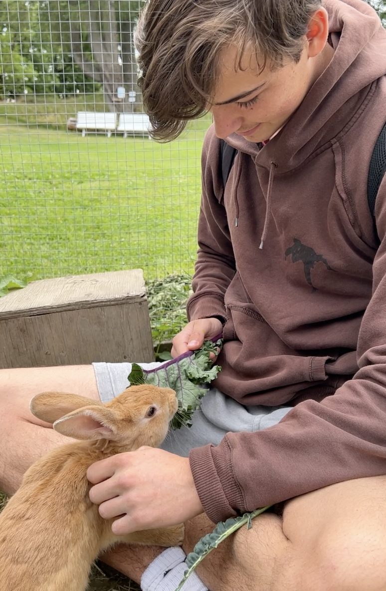 Skjermbilde 2022-09-19 kl. 21.23.39