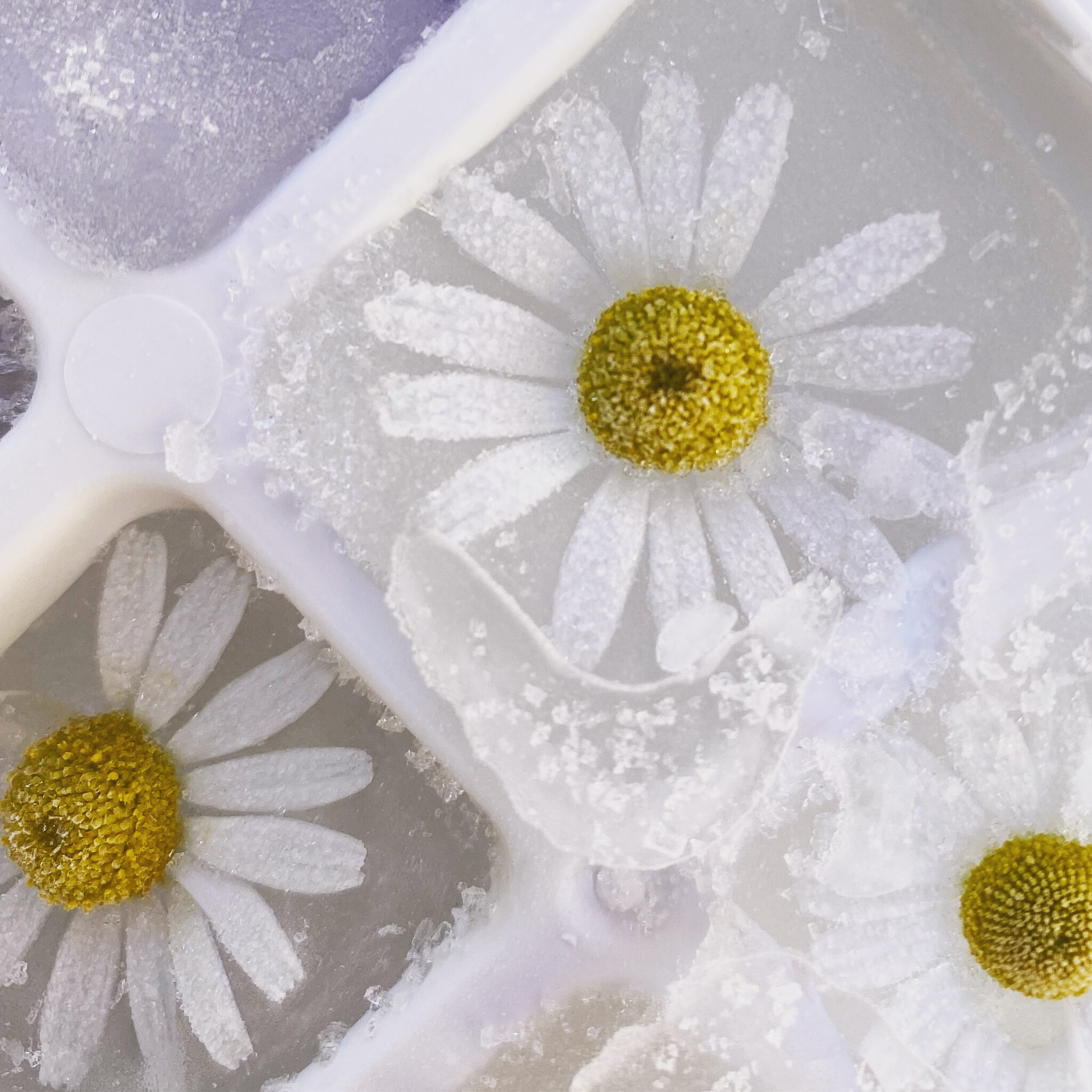 38216B4E-EFE5-423B-BE1E-E2DEEEA5A4C0