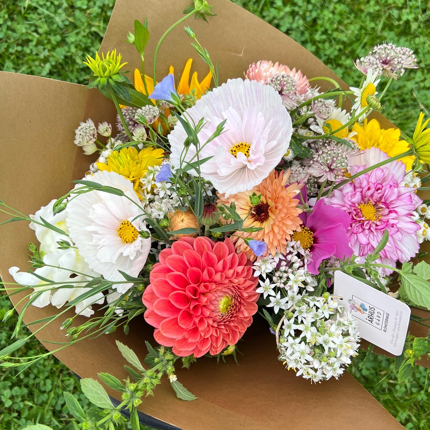 7C1C03BE-4FF0-41CF-B73D-E2CAA69F0A50