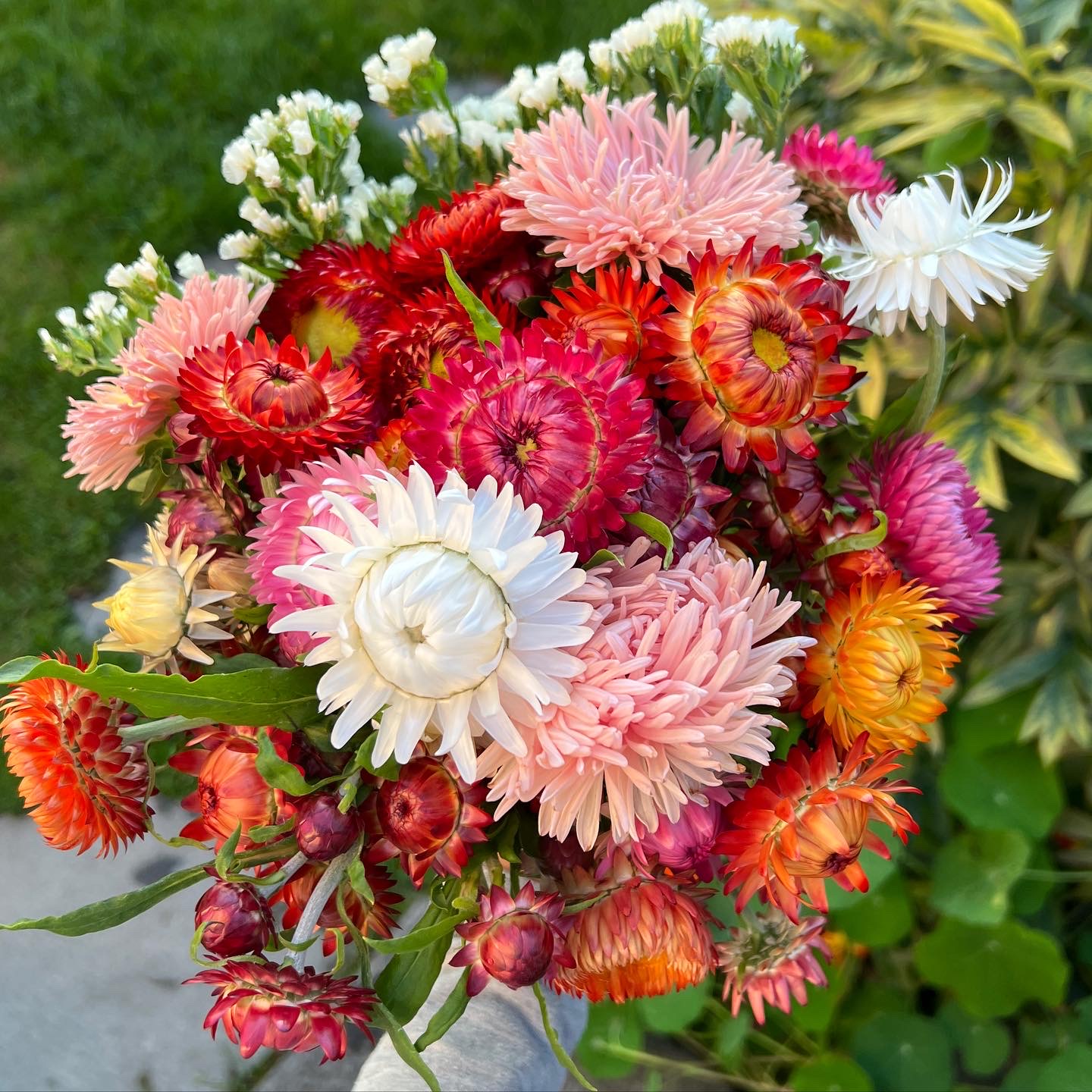 BDF034B1-7168-4D11-9BF4-460ED18AE595