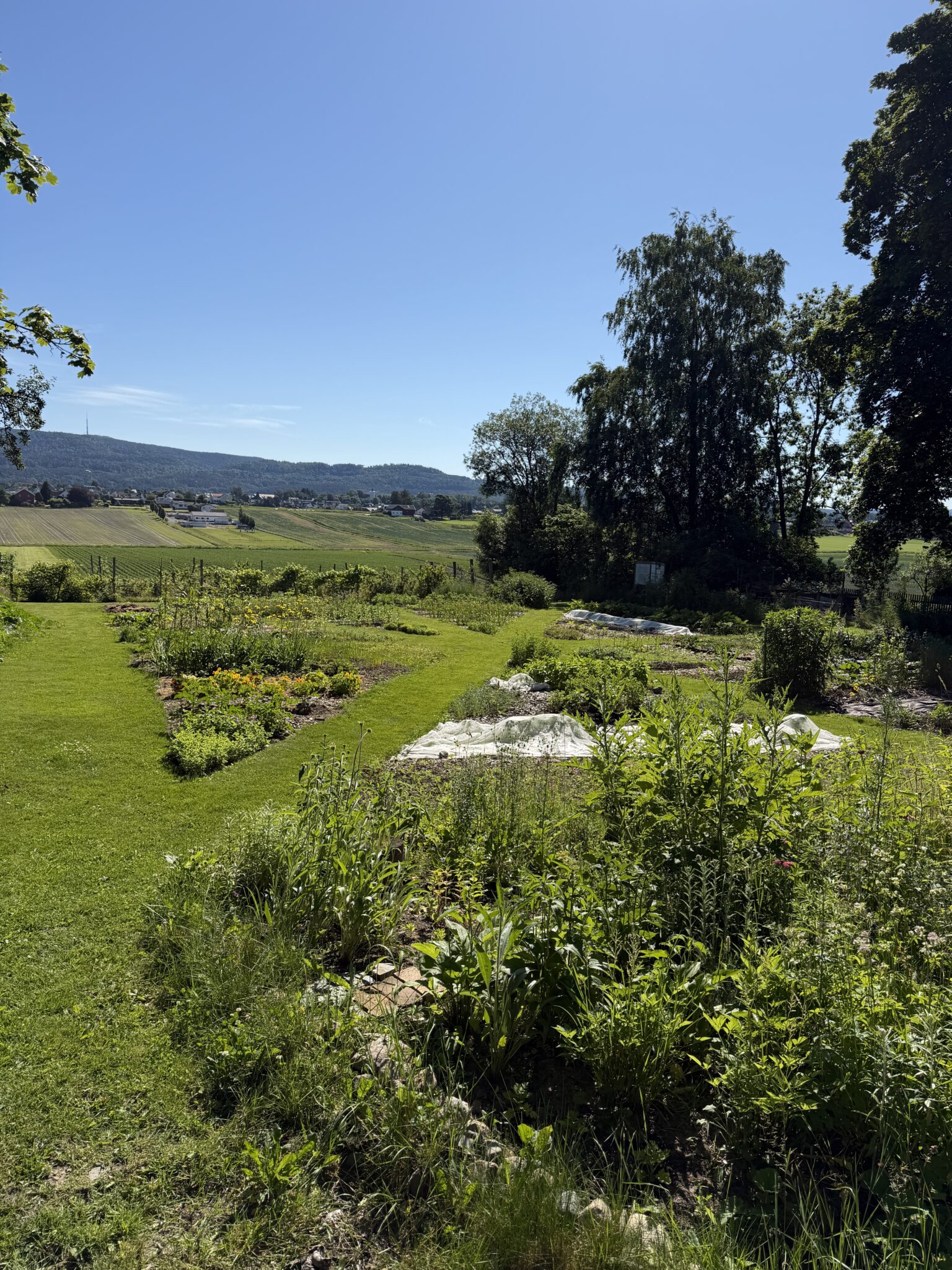 Well-kept garden with flower beds and green lawn, rolling fields and hills in the distance under a clear blue sky.