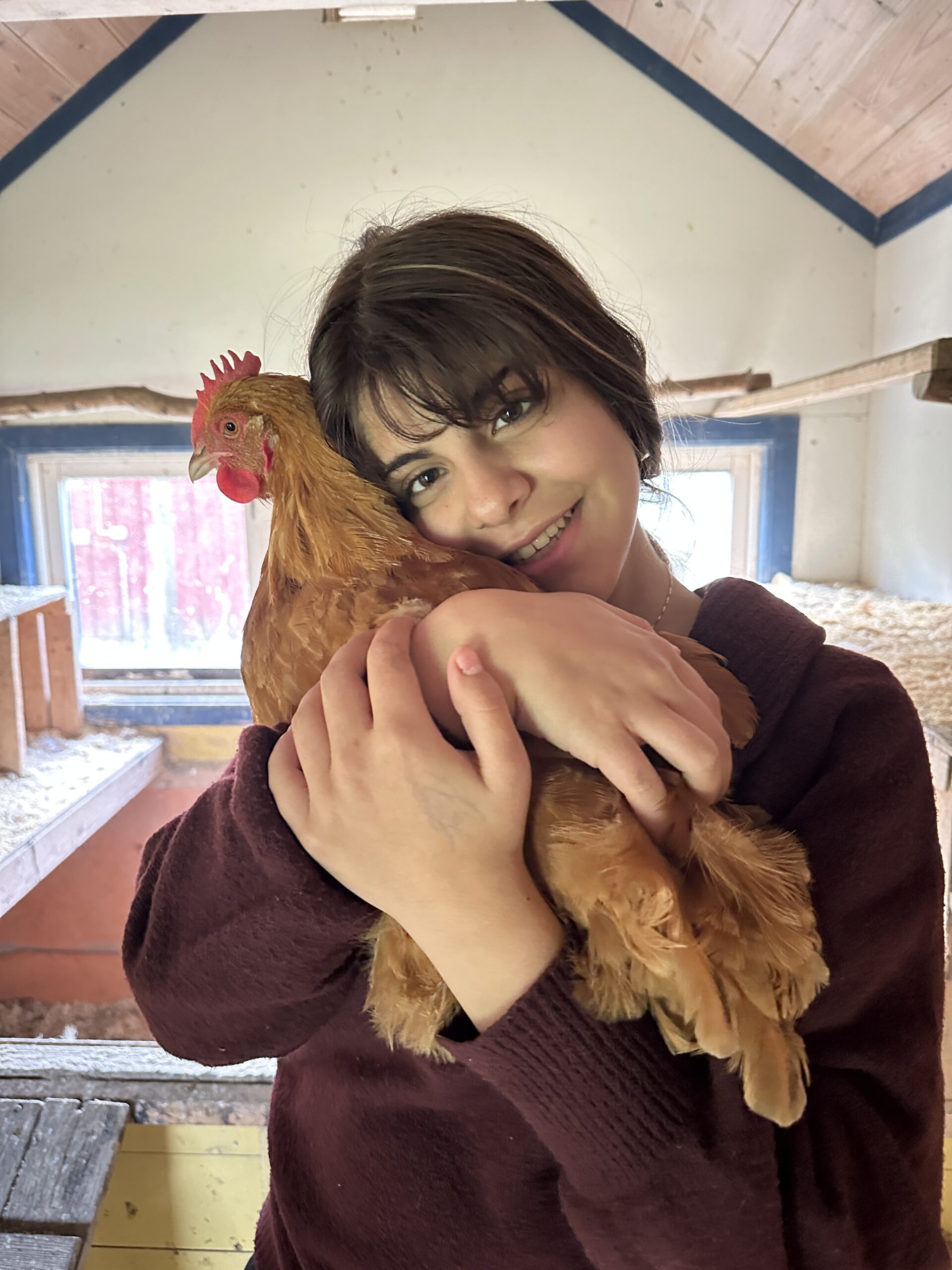 Smiling person hugging a brown hen indoors, showing warmth and affection.